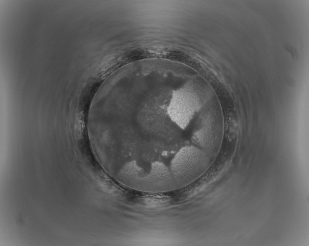 X0000112470707200908241233