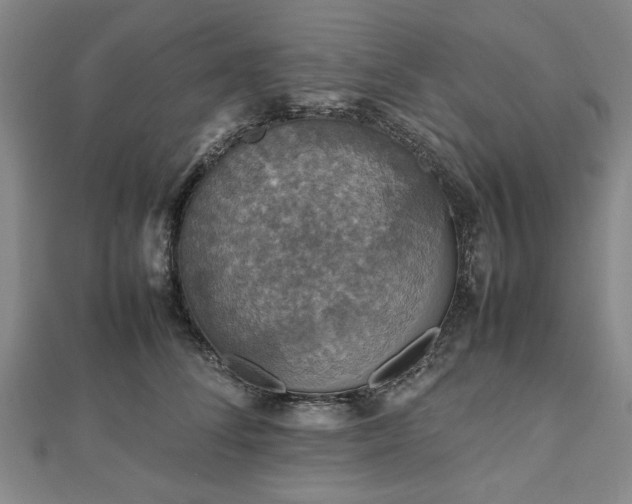 X0000112470708200908241233