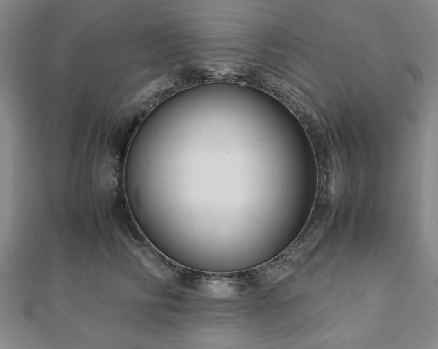 X0000112470710200908241233