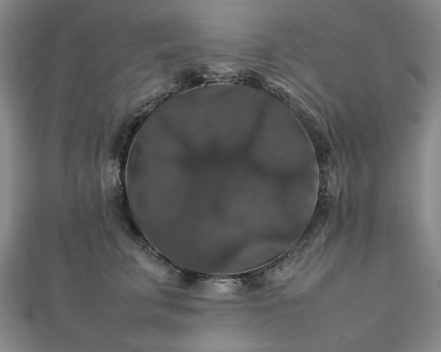 X0000112470711200908241233