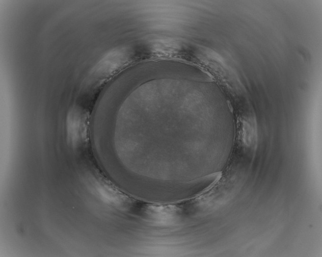 X0000112470712200908241233