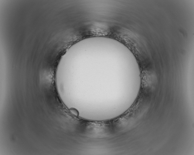 X0000112470713200908241233