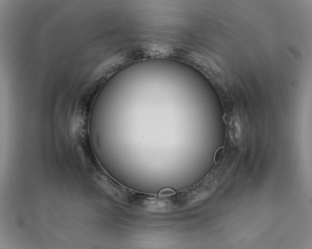 X0000112470714200908241233