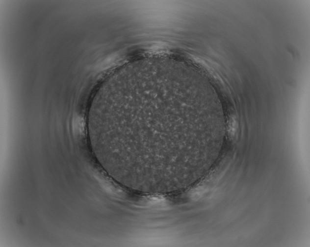 X0000112470715200908241233