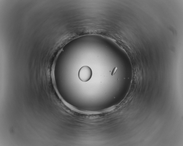 X0000112470716200908241233