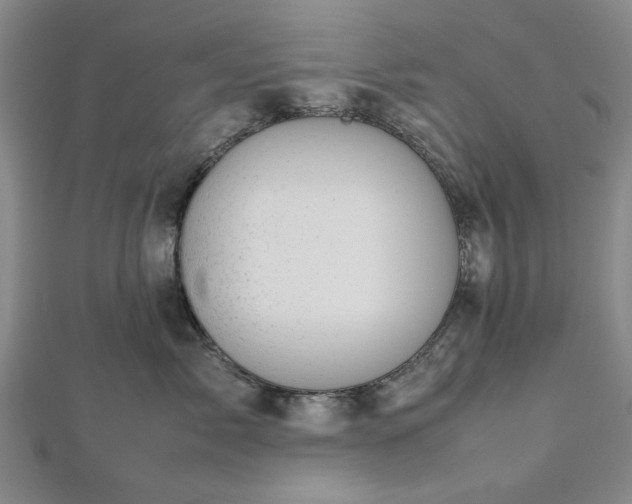 X0000112470717200908241233