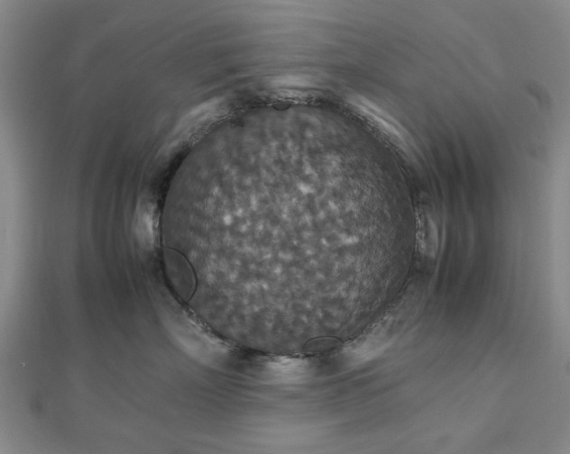 X0000112470718200908241233