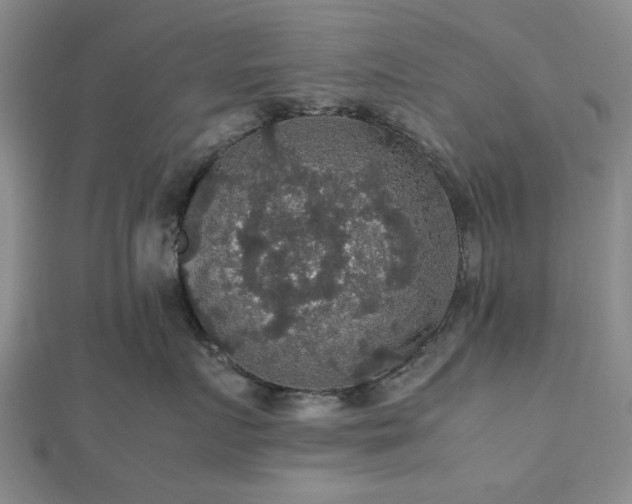 X0000112470719200908241233