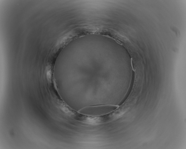 X0000112470720200908241233