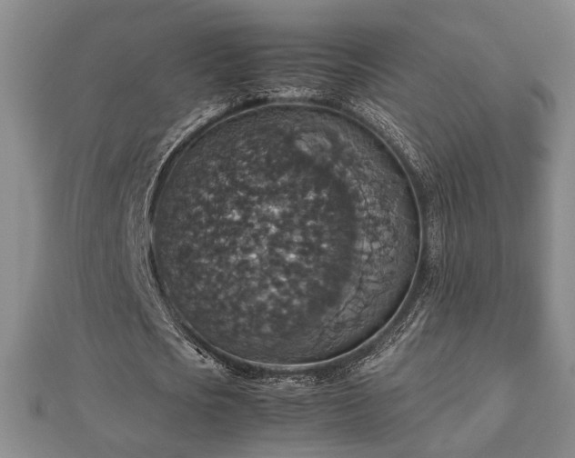 X0000112470721200908241232