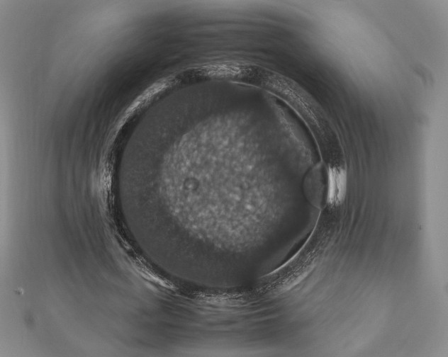 X0000112470723200908241232