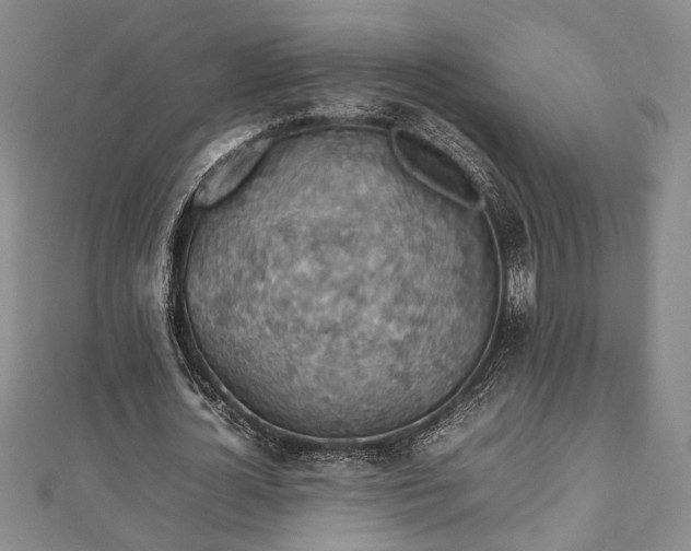 X0000112470724200908241232