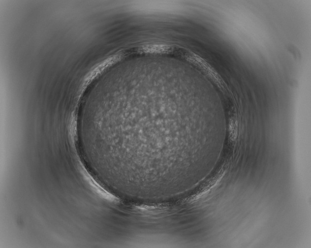 X0000112470725200908241232