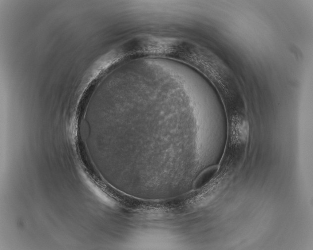 X0000112470726200908241232