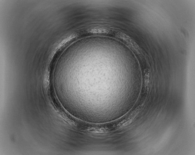 X0000112470727200908241232