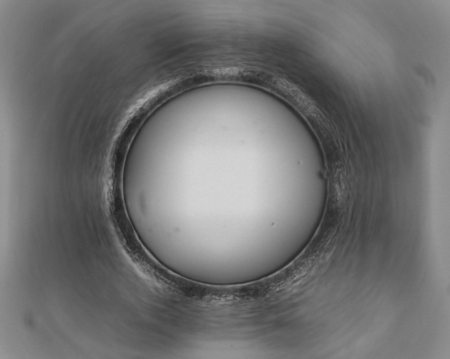 X0000112470728200908241232