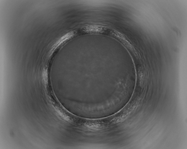 X0000112470729200908241232