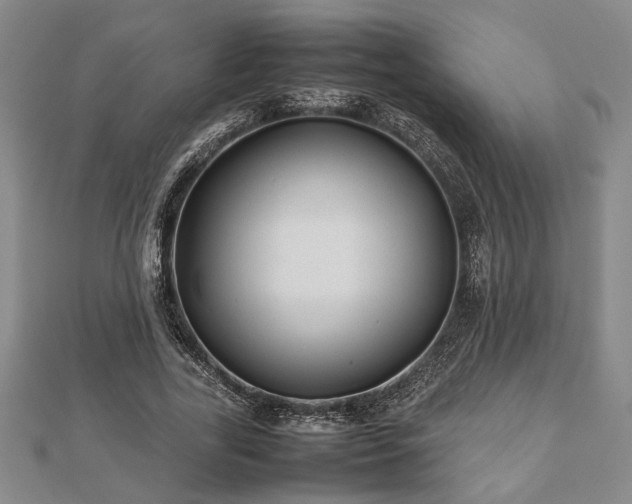 X0000112470731200908241232