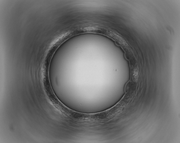 X0000112470732200908241232