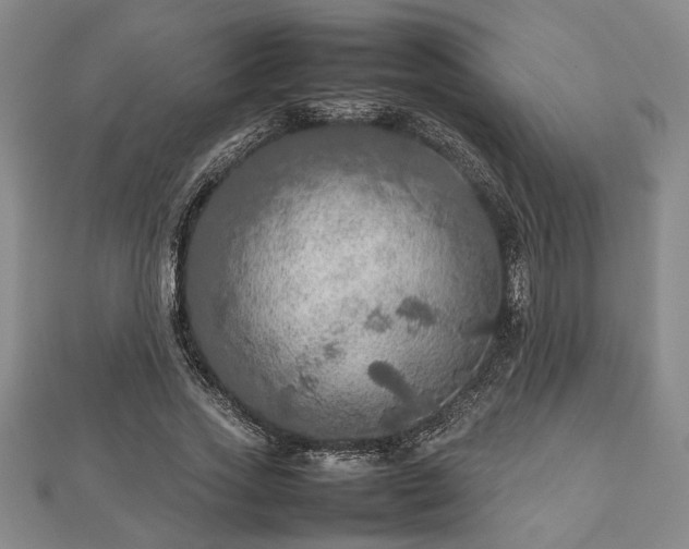 X0000112470733200908241232