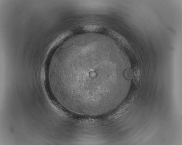 X0000112470734200908241232