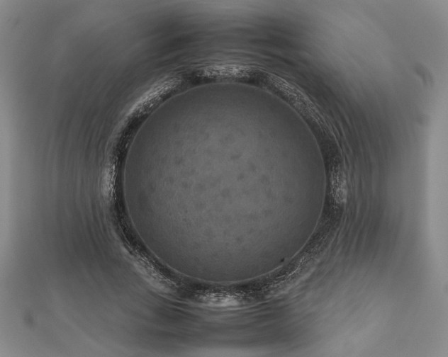 X0000112470735200908241232