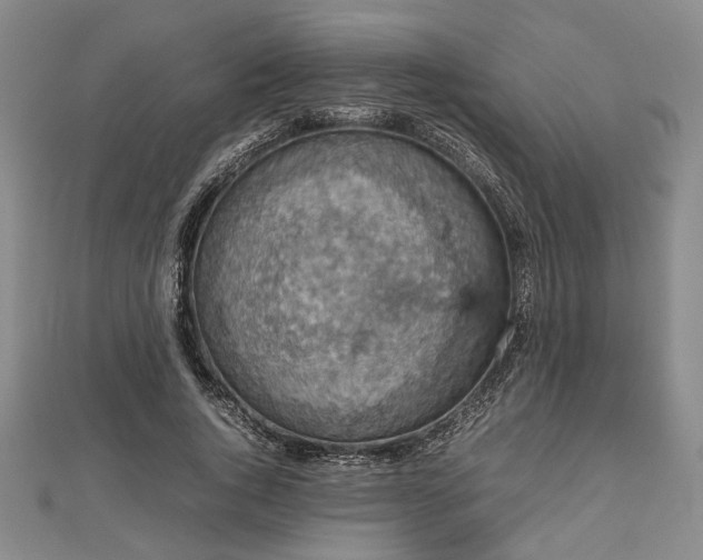 X0000112470736200908241232