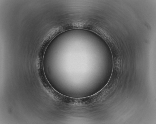 X0000112470738200908241232