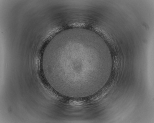 X0000112470739200908241232