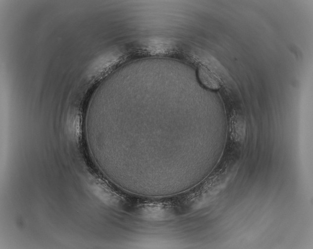 X0000112470740200908241232