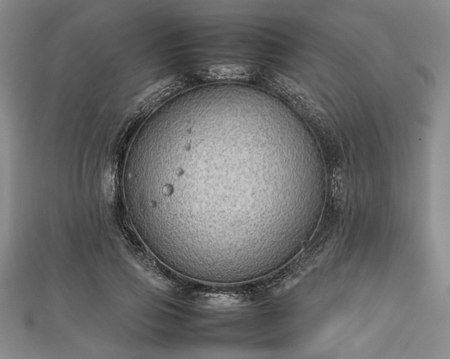 X0000112470741200908241232