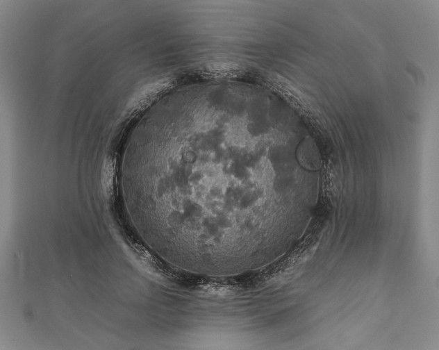 X0000112470742200908241232