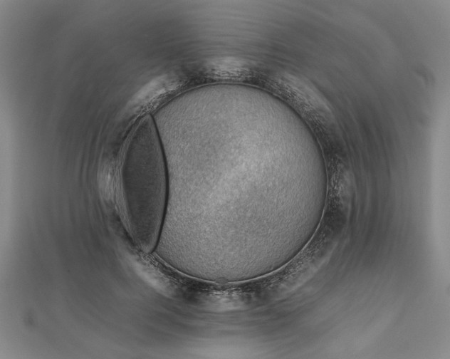 X0000112470744200908241232