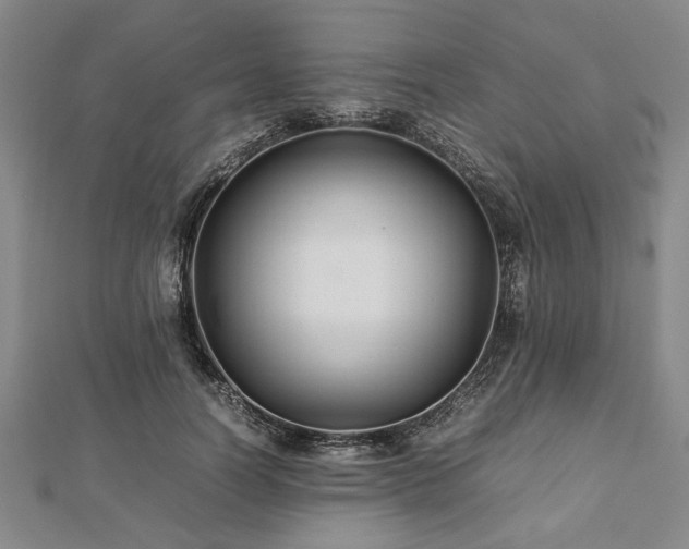 X0000112470746200908241232