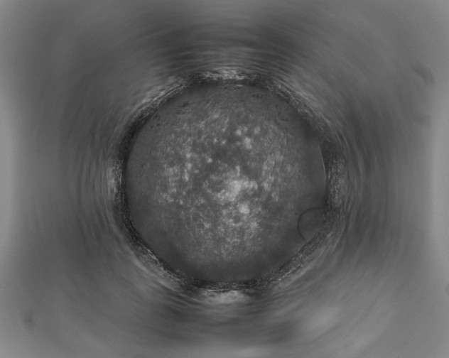 X0000112470747200908241232