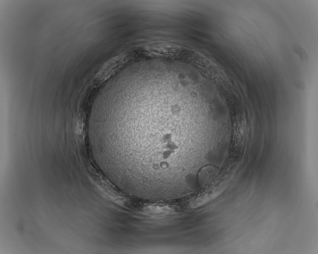 X0000112470749200908241232