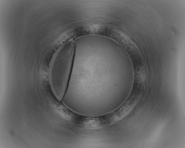 X0000112470750200908241232