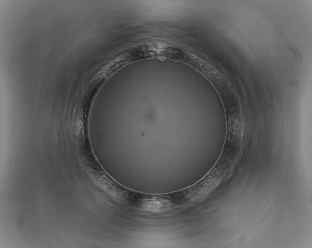 X0000112470754200908241233