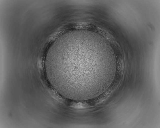 X0000112470755200908241233