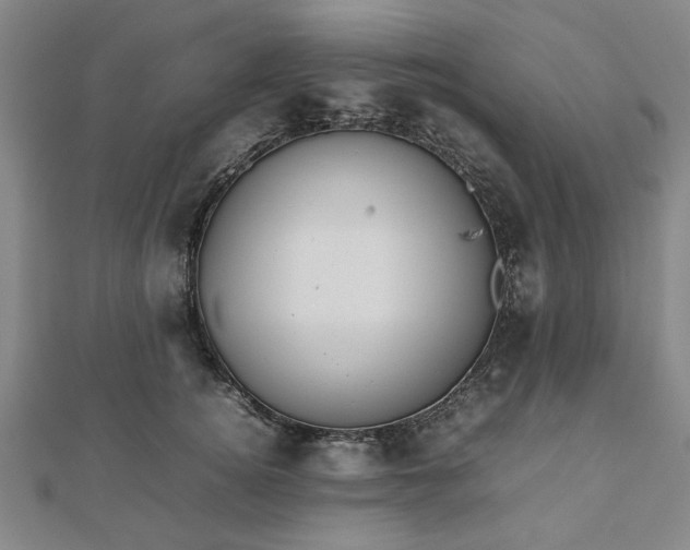 X0000112470756200908241233