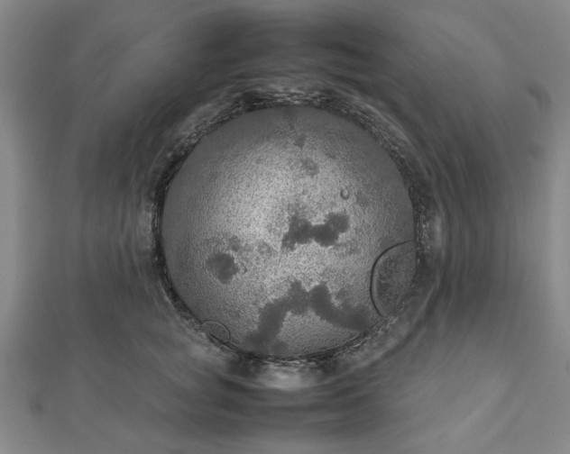 X0000112470757200908241233