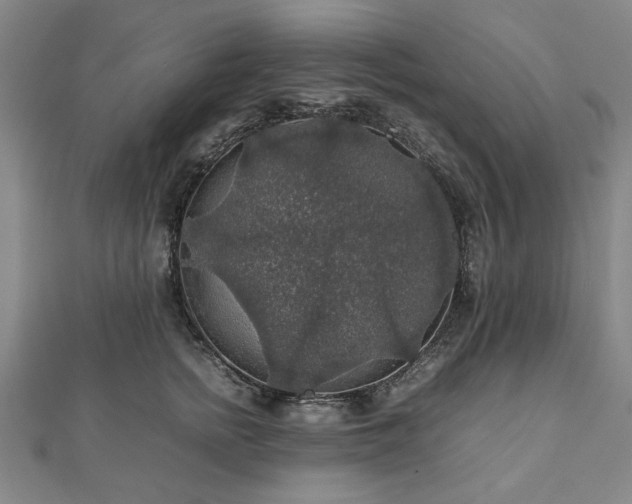 X0000112470758200908241233