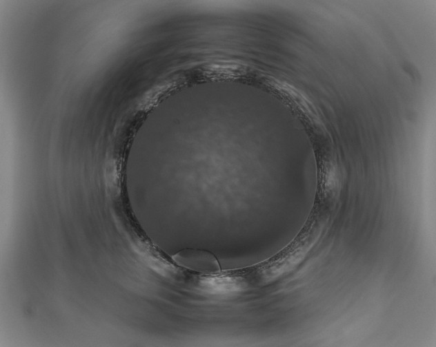 X0000112470759200908241233