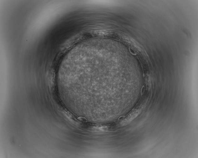 X0000112470760200908241233