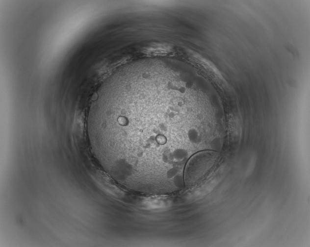 X0000112470761200908241233