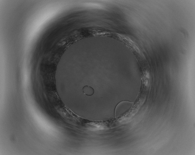 X0000112470763200908241233