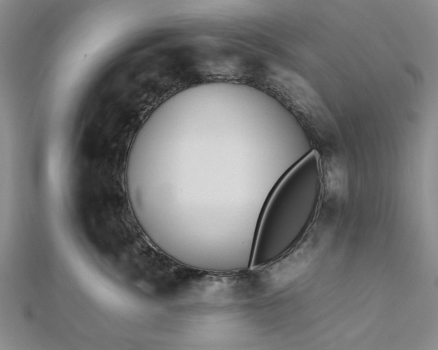 X0000112470764200908241233