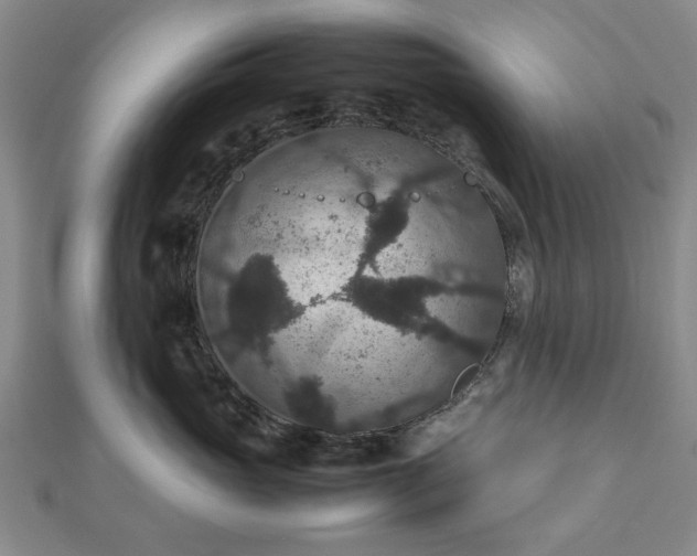 X0000112470765200908241233