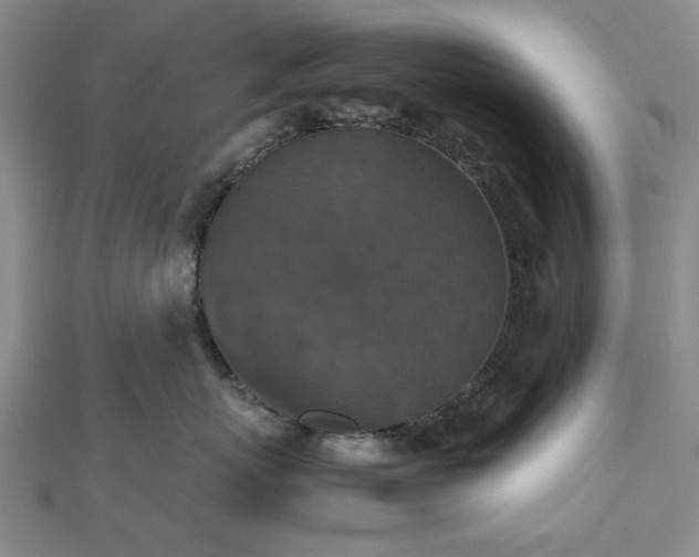 X0000112470767200908241233