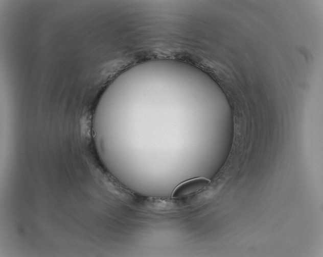 X0000112470768200908241233